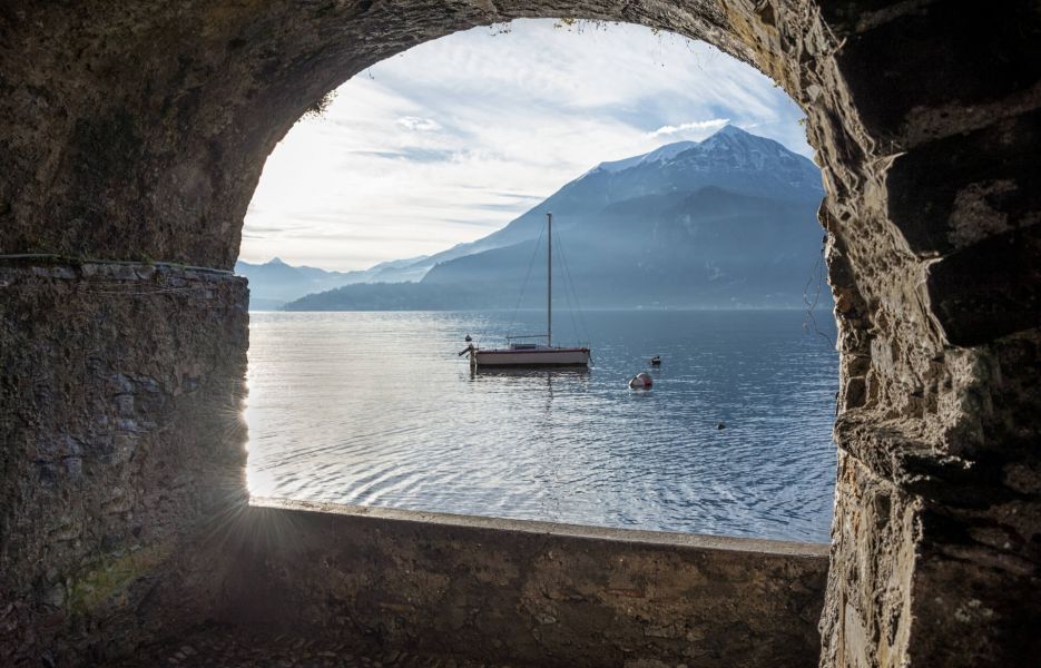 Verdi Acque: Immagine